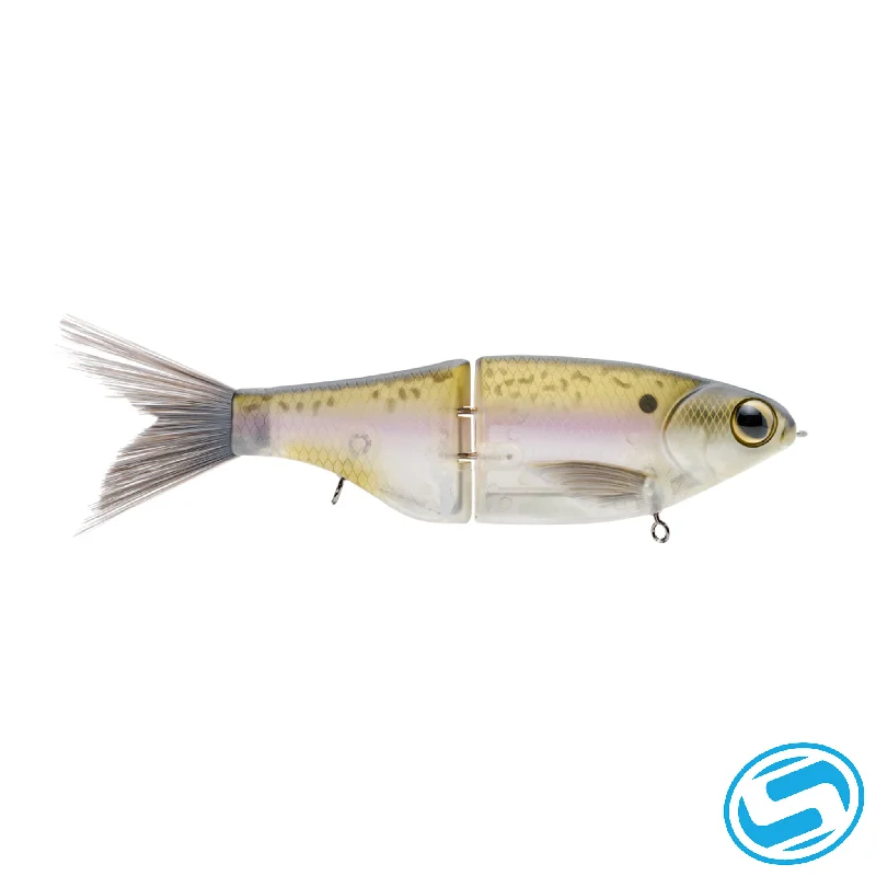 Threadfin Shad