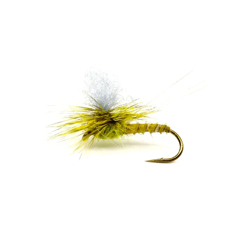 fishing boats for freshwater-GT Adult Green Drake