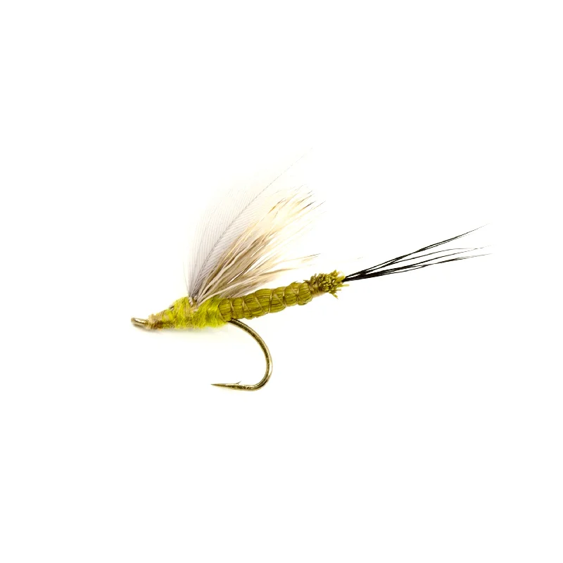 fishing tackle for beginners-Killer Green Bug (KBG)