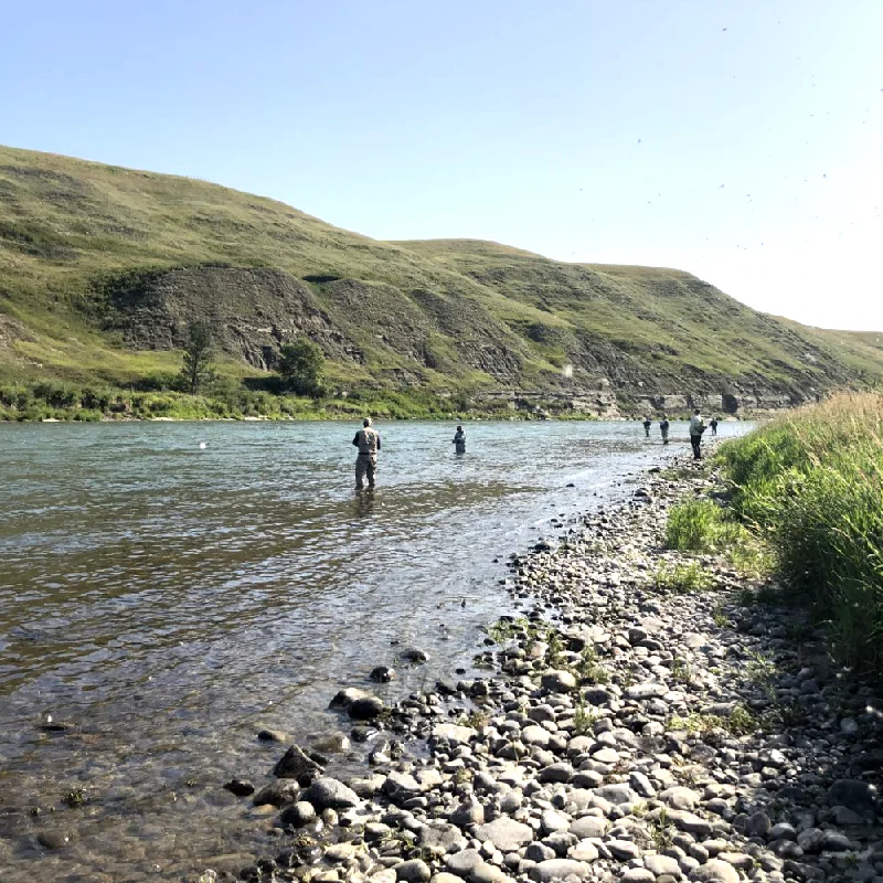 fishing line for trout-2025 Intermediate Bow River School