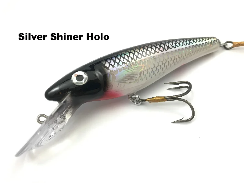 Silver Shiner Holo