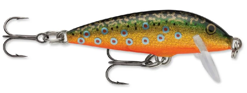 Brook Trout