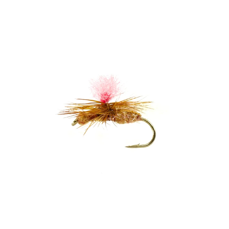 fishing reels for ice fishing-Hi-Vis Flying Ant Cinnamon