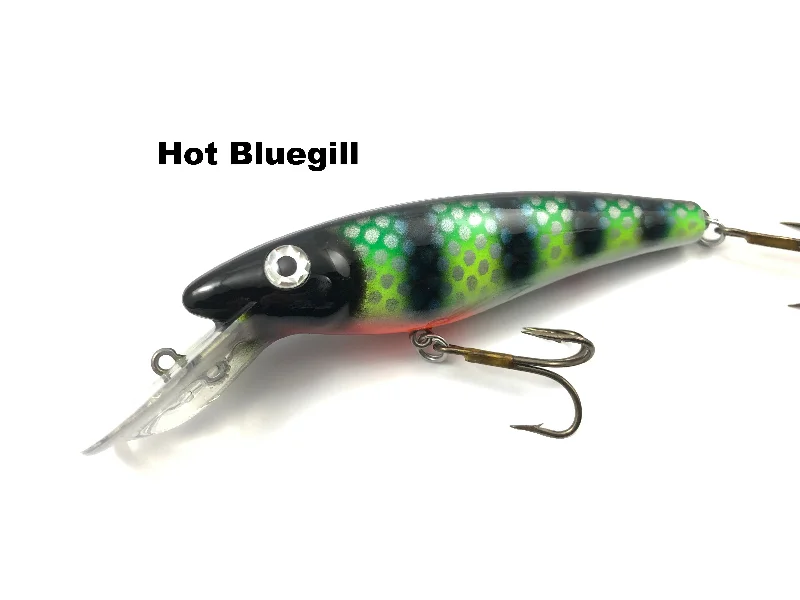 Hot Bluegill (TRO Exclusive)