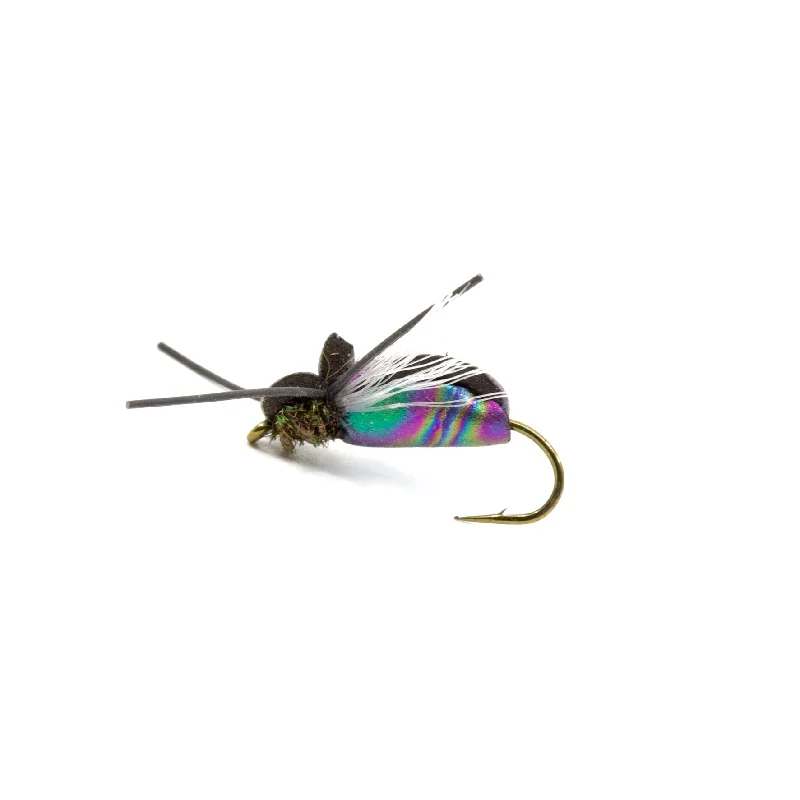 artificial lures for bass-Flying Loco Beetle