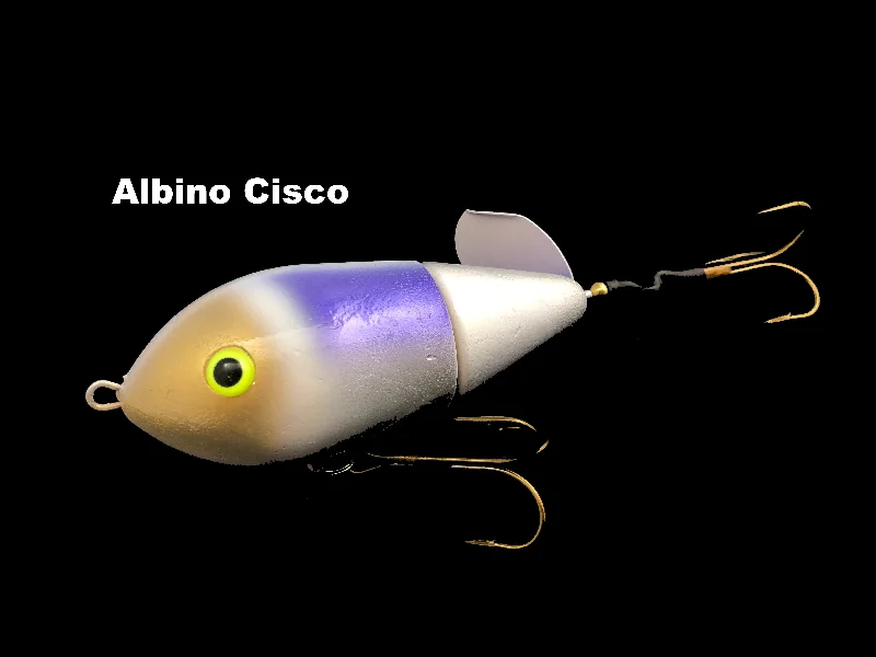 Albino Cisco (TRO Exclusive)