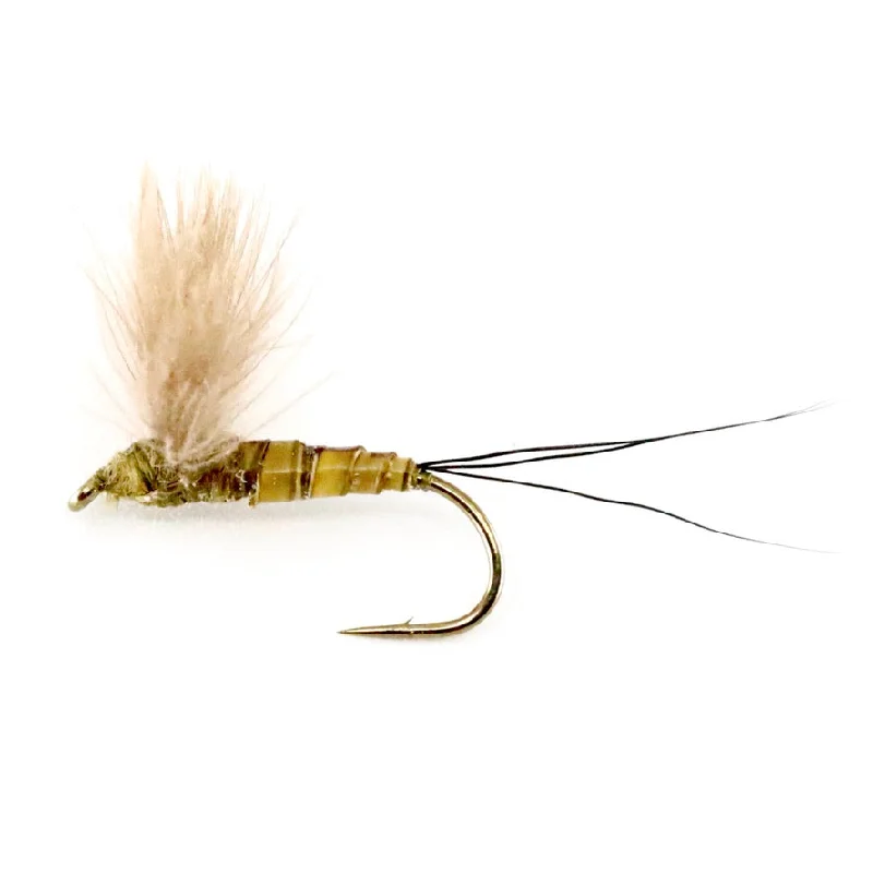 fishing bait scents-CDC Comparadun Green Drake