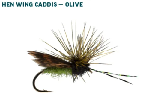 fishing reels for saltwater-RIO CS Caddis Fly