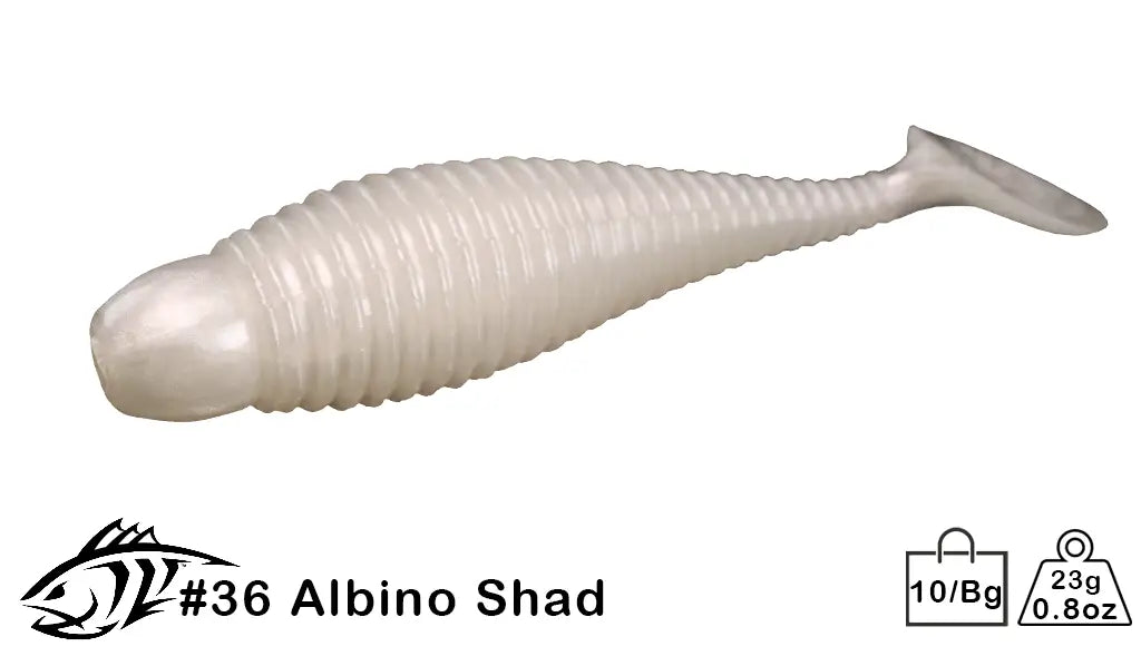 36 Albino Shad